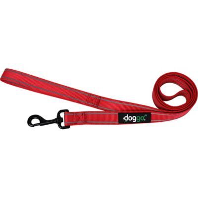 Doggo Everyday Nylon Leash Red 5&#39;