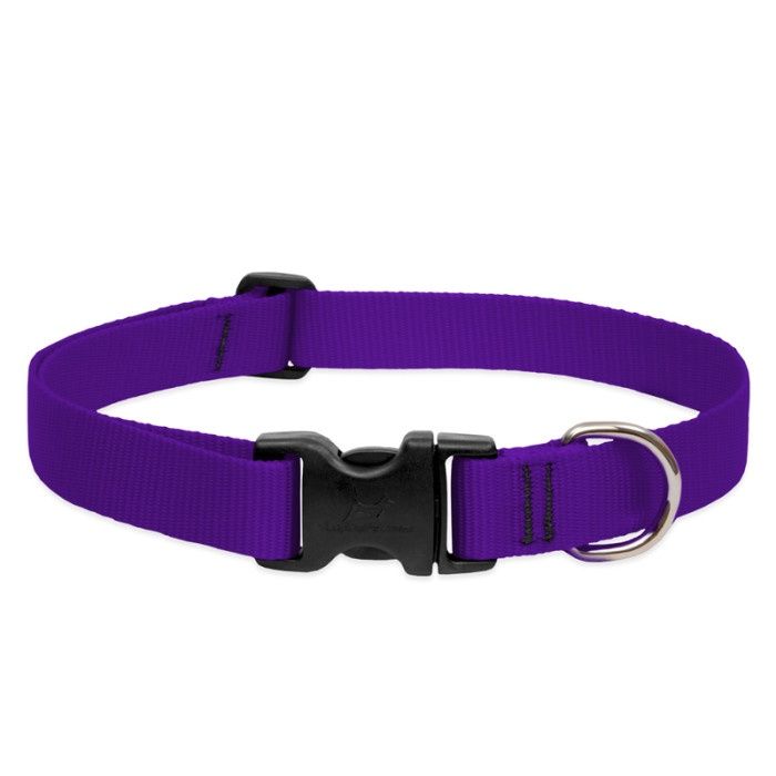 Lupine Basics 1/2in Adjustable Purple 8-12in