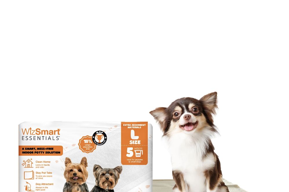 Wizsmart Essentials Dog 10 count pads large 23.5x22 pack
