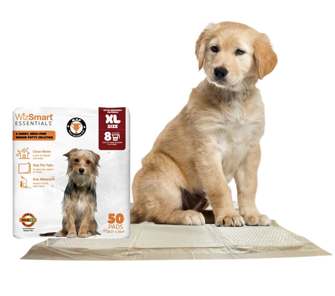 Wizsmart Essentials Dog 50 Count Pads XL 23.5 x 35.4 Pack