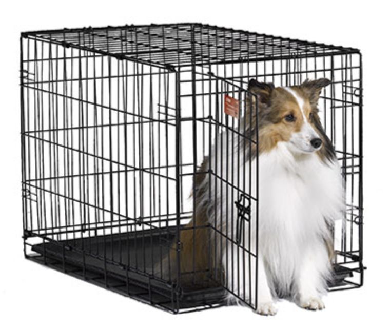 Midwest Folding Dog Crate for Medium Dogs