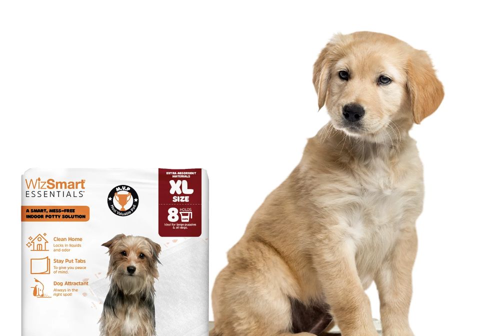 Wizsmart Essentials Dog 10 Count Pads XL 23.5 x 35.4 Pack