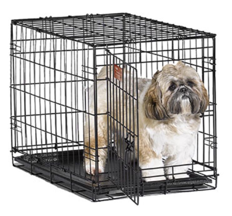 Midwest Folding Dog Crate for Small Breeds - Crates For Small Working Breeds
