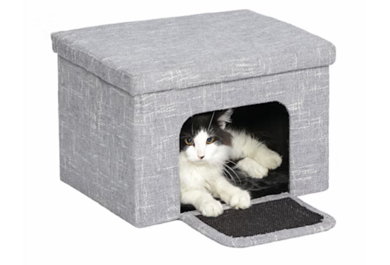 Midwest Curious Cat Cube Cottage