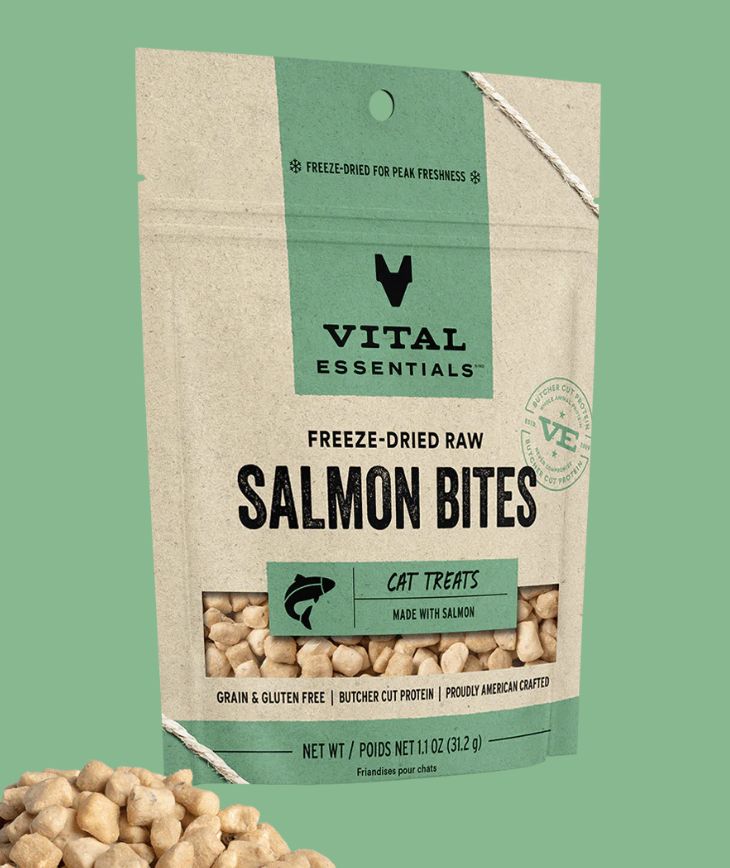 Vital Essentials Freeze-Dried Salmon Bites Treats for Cats and Dogs 1.1 oz