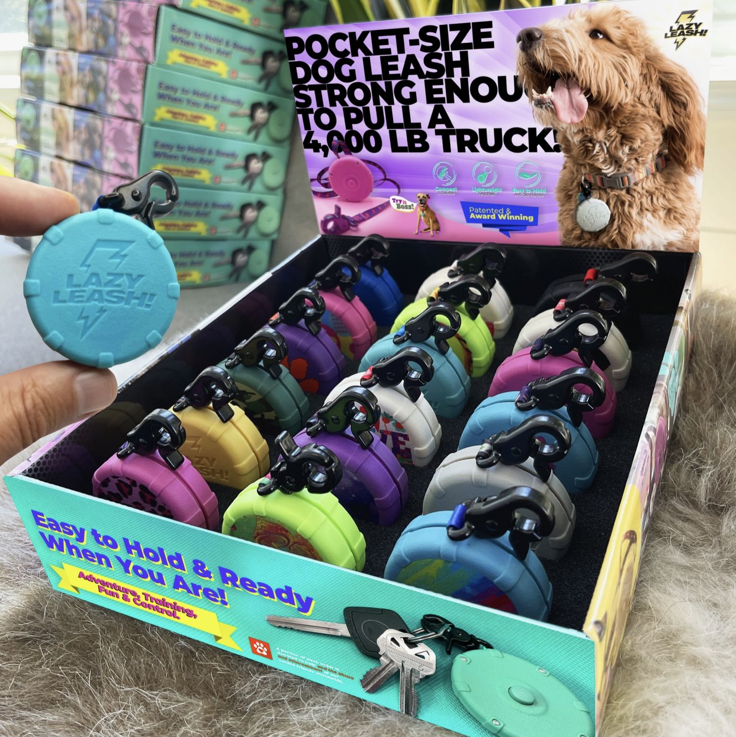 Lazy Leash - Assorted Colors and designs