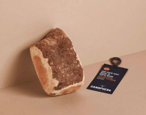 Canophera Briar Root Dog Chew L