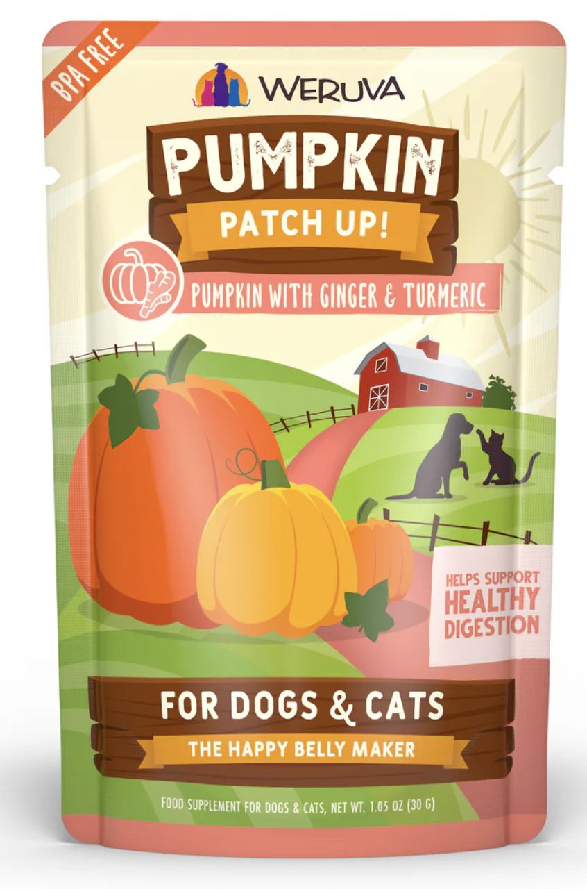 Weruva Pureed Pumpkin with Ginger &amp; Tumeric Pouch 1.05oz