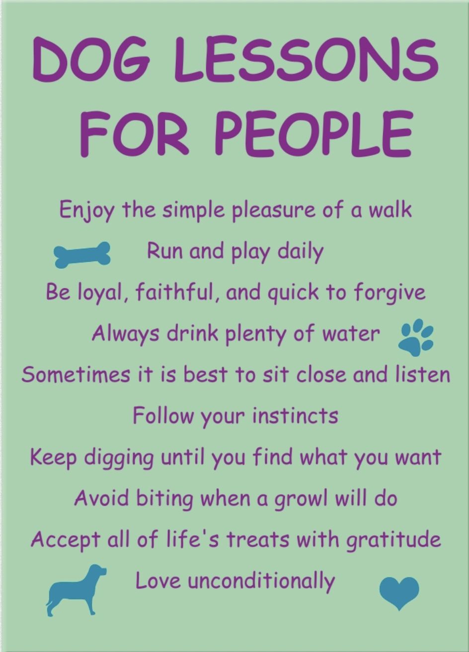 Dog Speak Rectangle Magnet - Dog Lessons for People