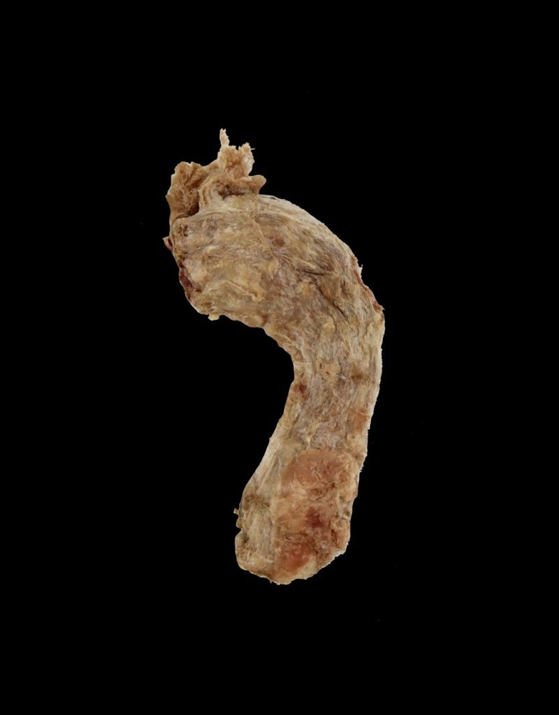 Freeze-Dried Chicken Necks 3 for $4.99 Deal