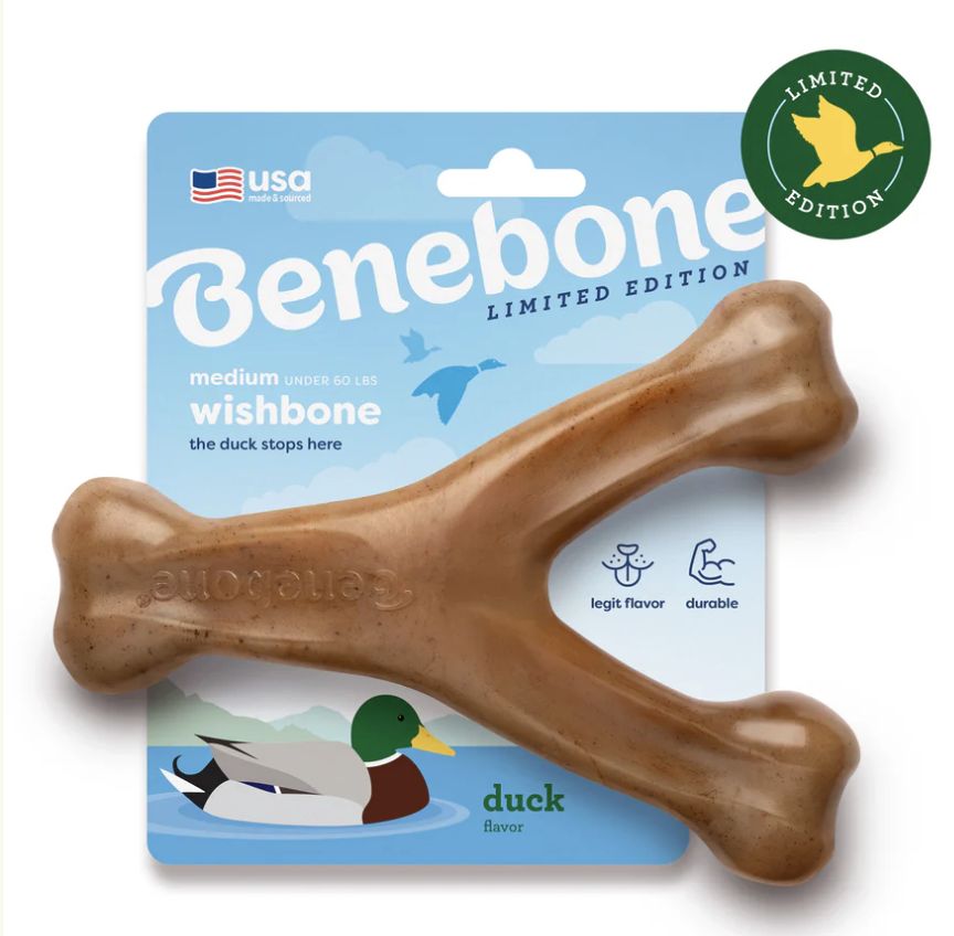 Benebone Duck Flavored Wishbone Dog Chew Toy- Medium