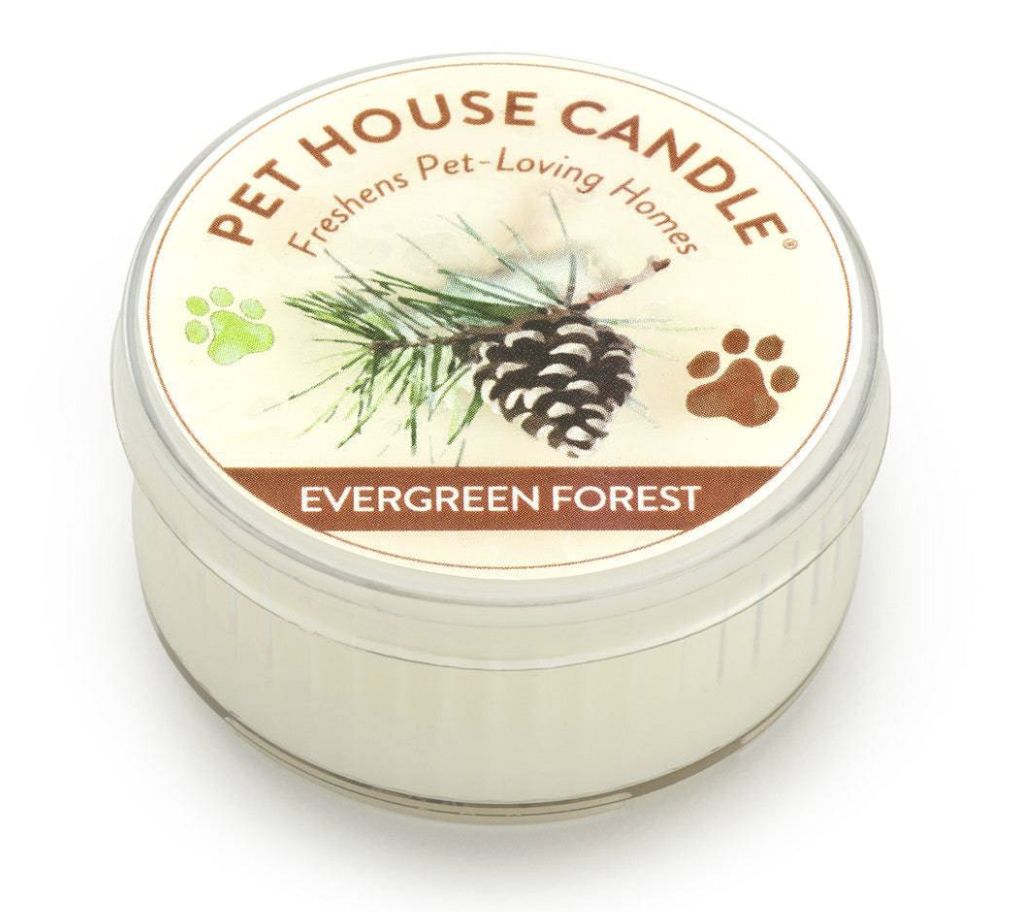 Pet House Mini Candles - Evergreen Forest
