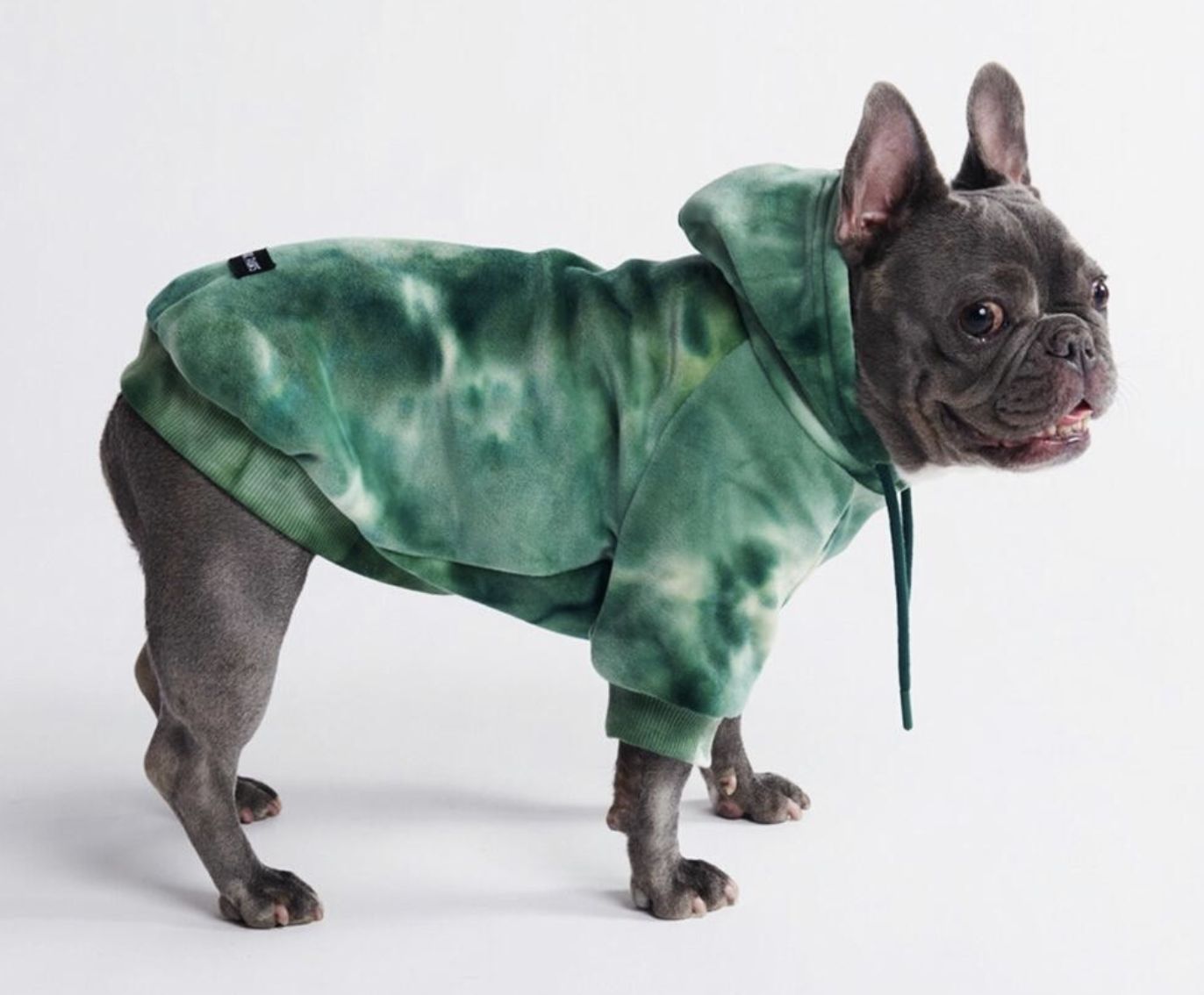 Spark Paws Emerald Green Velvet Dog Hoodie- 2XL