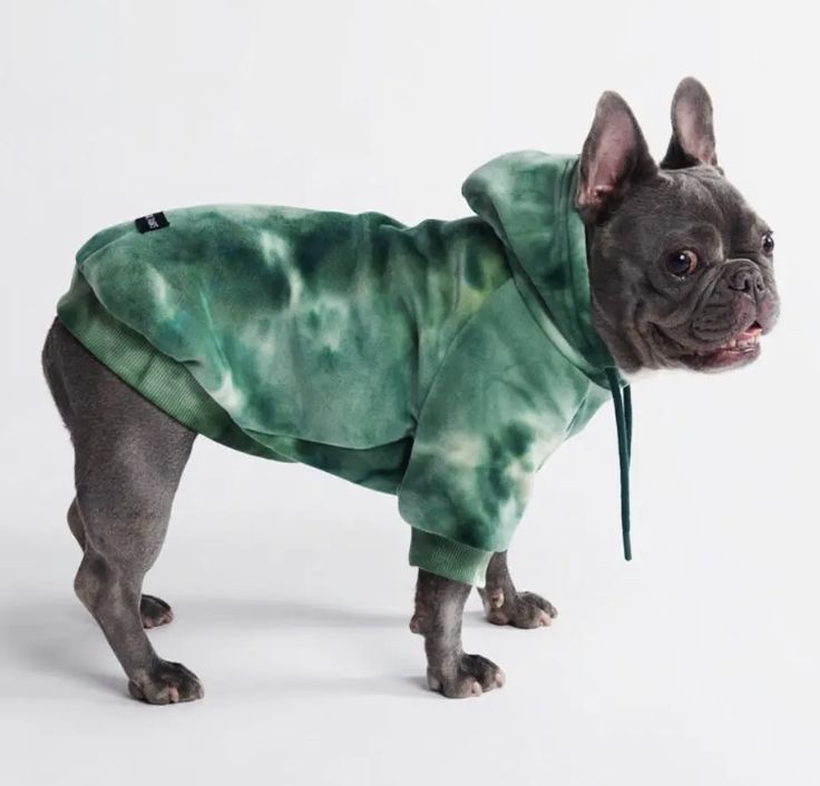 Spark Paws Emerald Green Dog Hoodie- XL