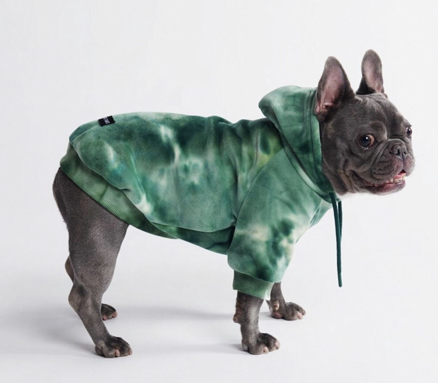 Spark Paws Emerald Green Dog Hoodie- Large