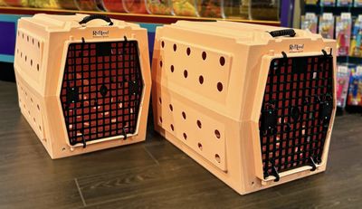 Ruffland Performance Kennels Pre Order Special Edition Peach