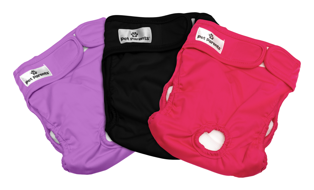 Pet Parents Washable Dog Diapers (3 Pack) Princess Pack, Size: Small