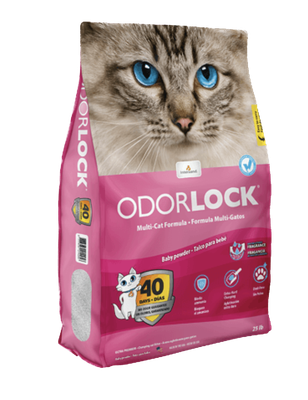 Intersand OdorLock Clumping Cat Litter Baby Powder 13lb