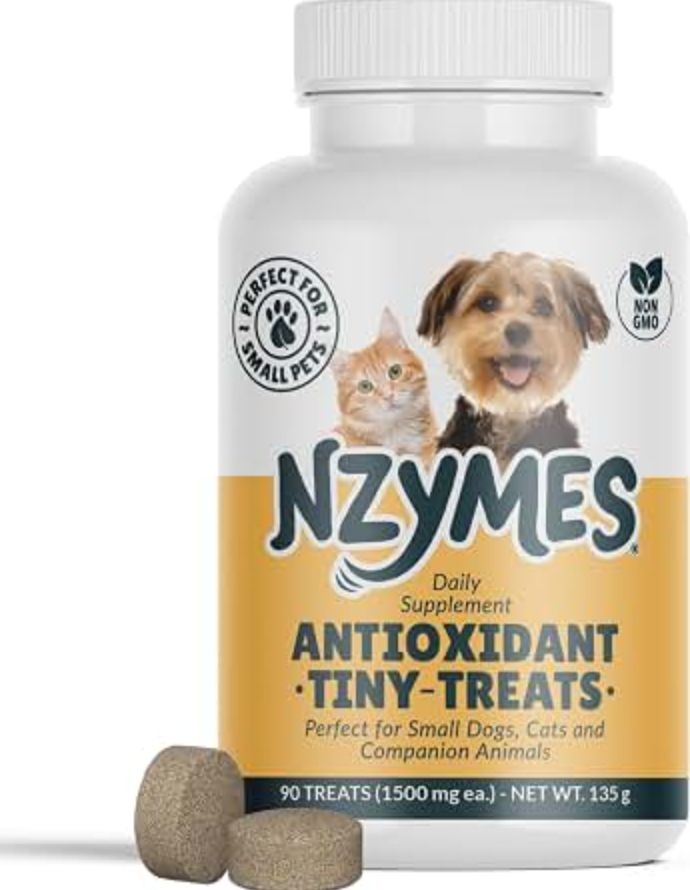 Nzymes Antioxidant Tiny Treats 90 Count