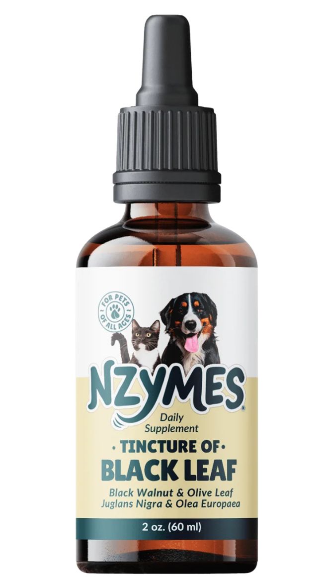 Nzymes Tincture of Blackleaf for Pets 2oz