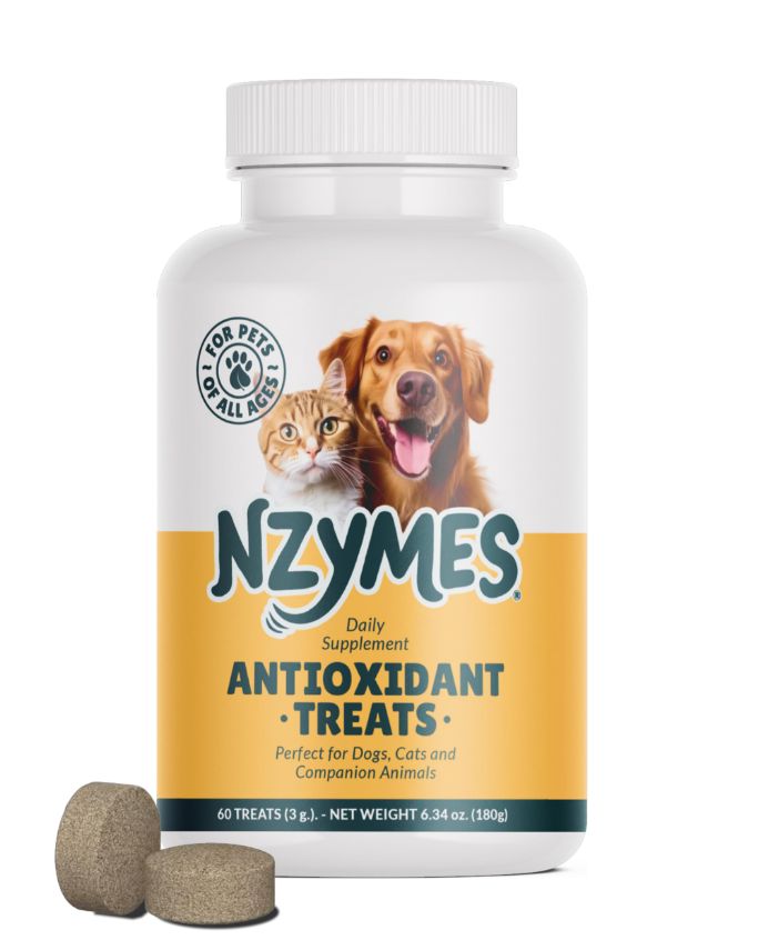 Nzymes Antioxidant Treats 60 Tasty Chewable Treats