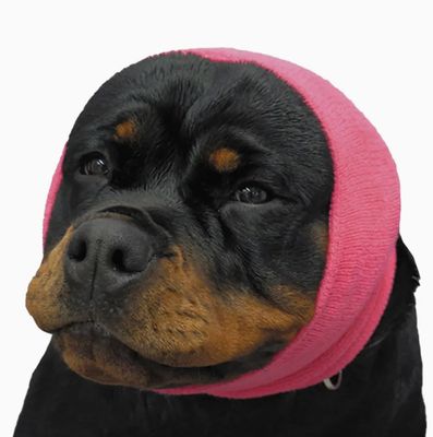 Happy Hoodie XL - Pink