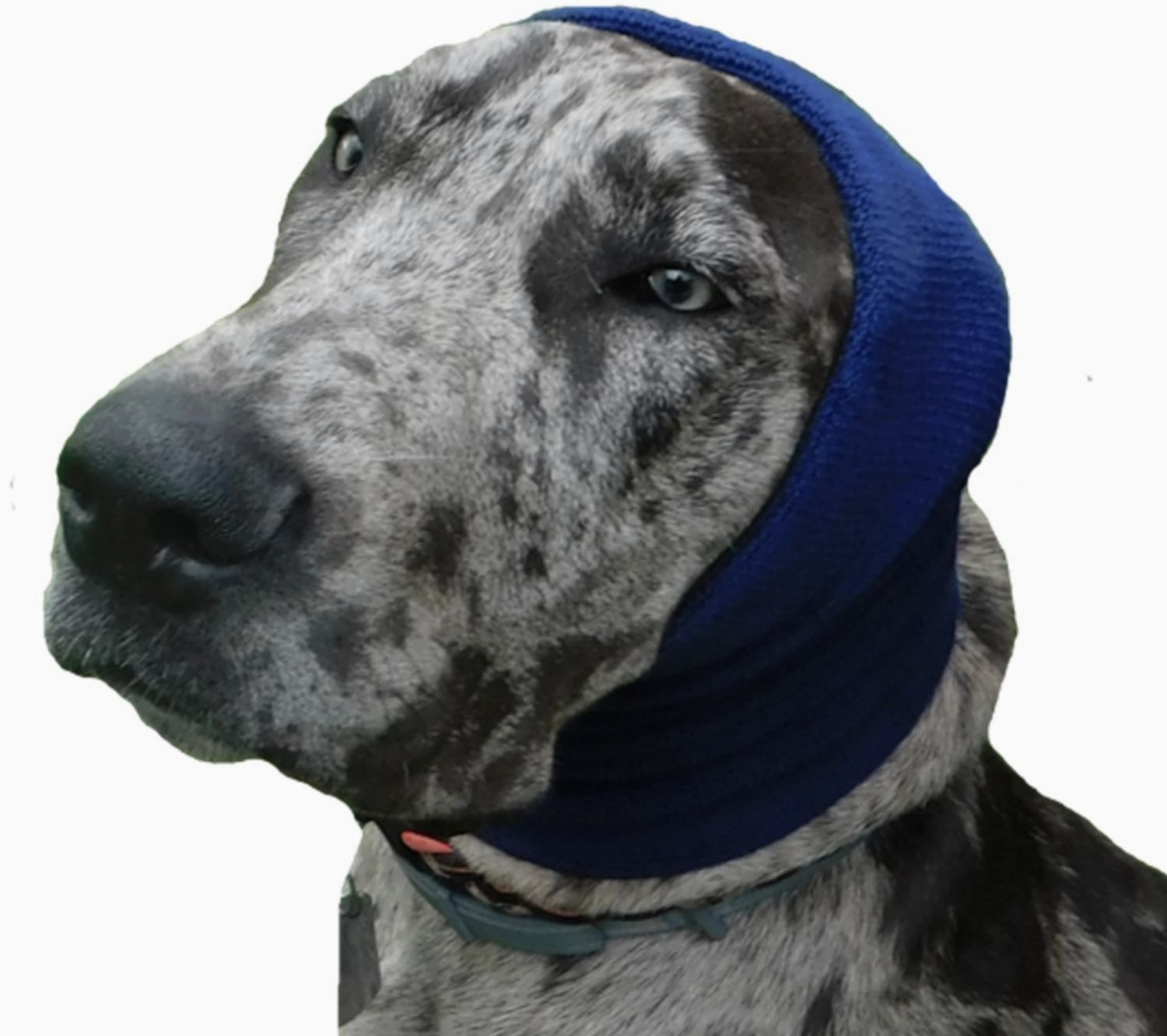 Happy Hoodie XL - Blue