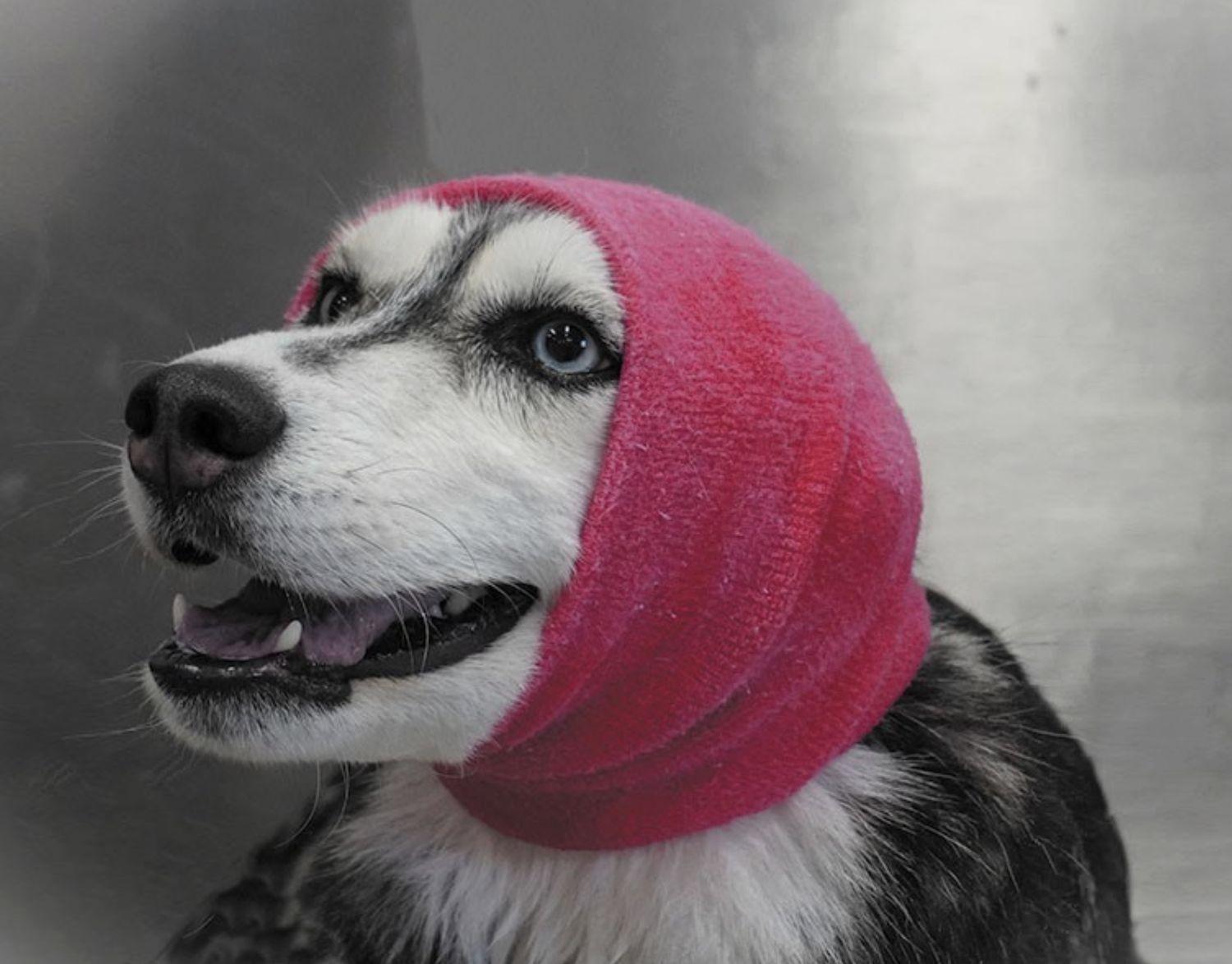 Happy Hoodie L - Pink