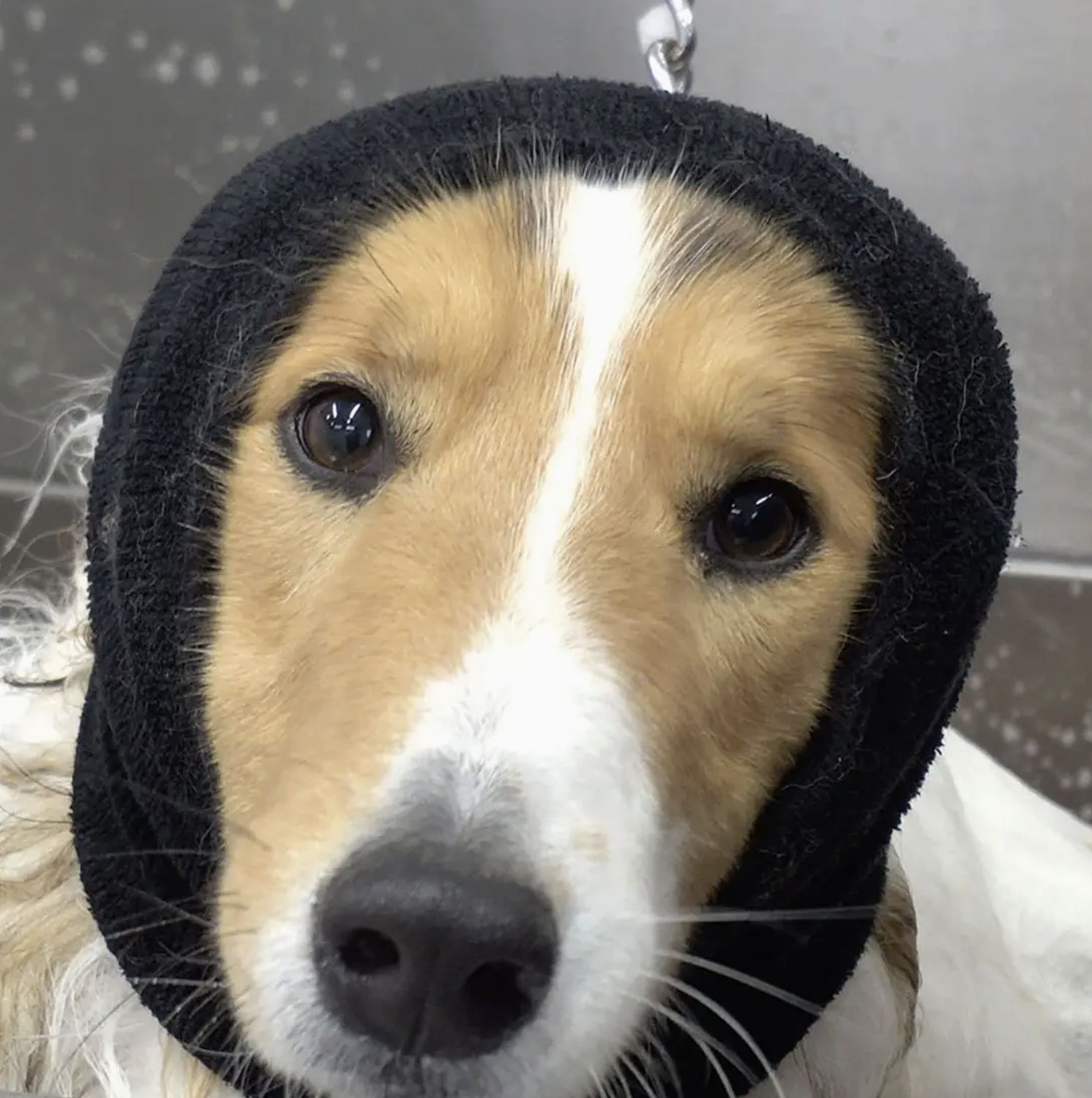 Happy Hoodie L - Black