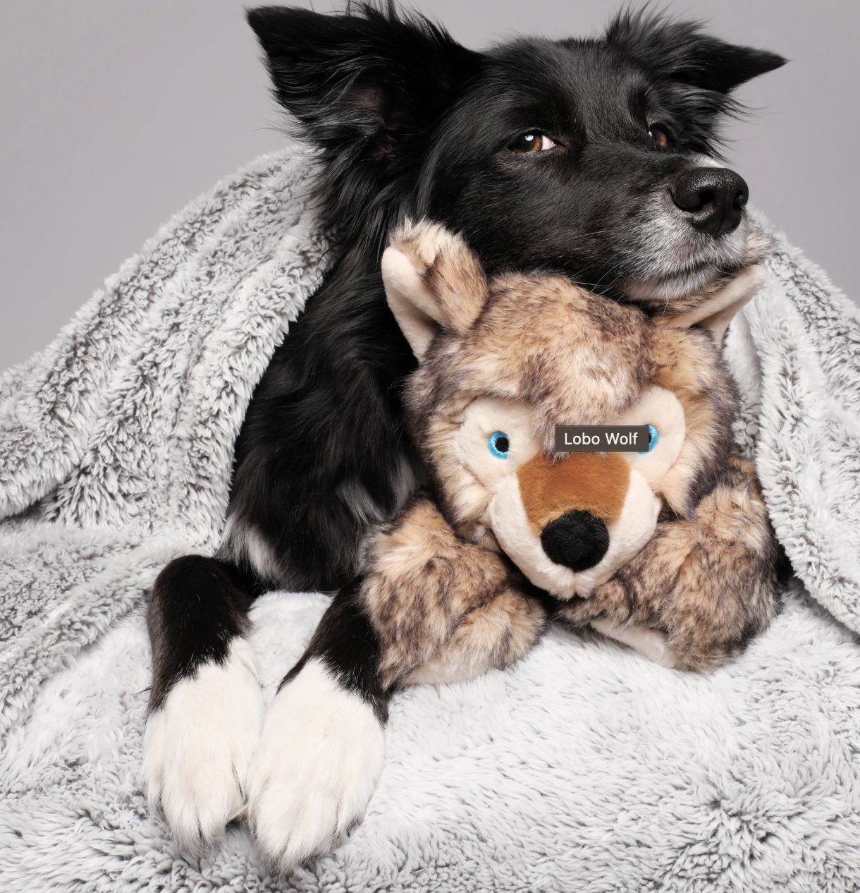 Fluff &amp; Tuff - Wolf Pup Dog Toy