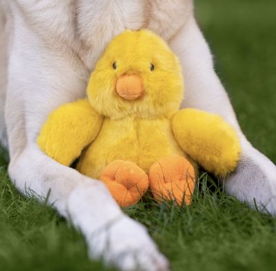 Fluff &amp; Tuff - Duck Dog Toy