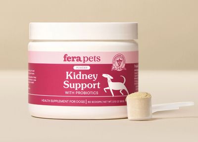 Fera Kidney Support Powder with Probiotics for Dogs 2oz