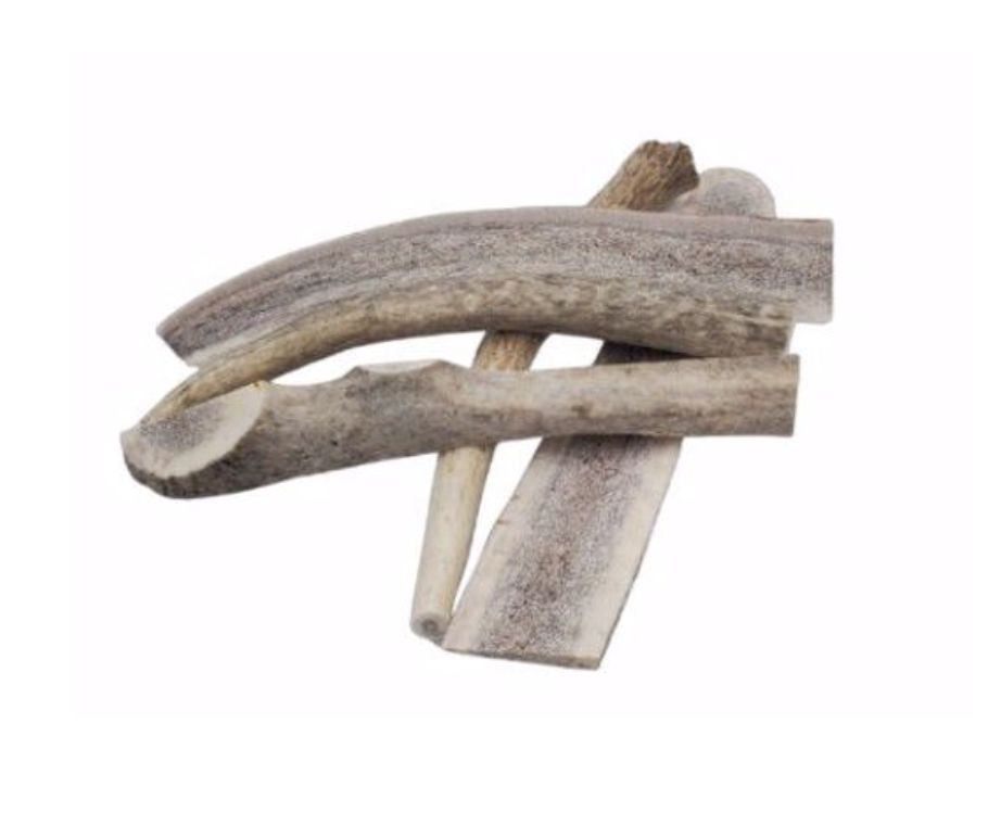 Nature's Own Elk Antler for Dogs 9-11" Jumbo Each
