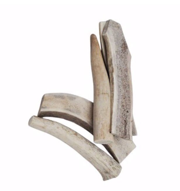 Nature's Own Elk Antler for Dogs  - 5-6" Large each