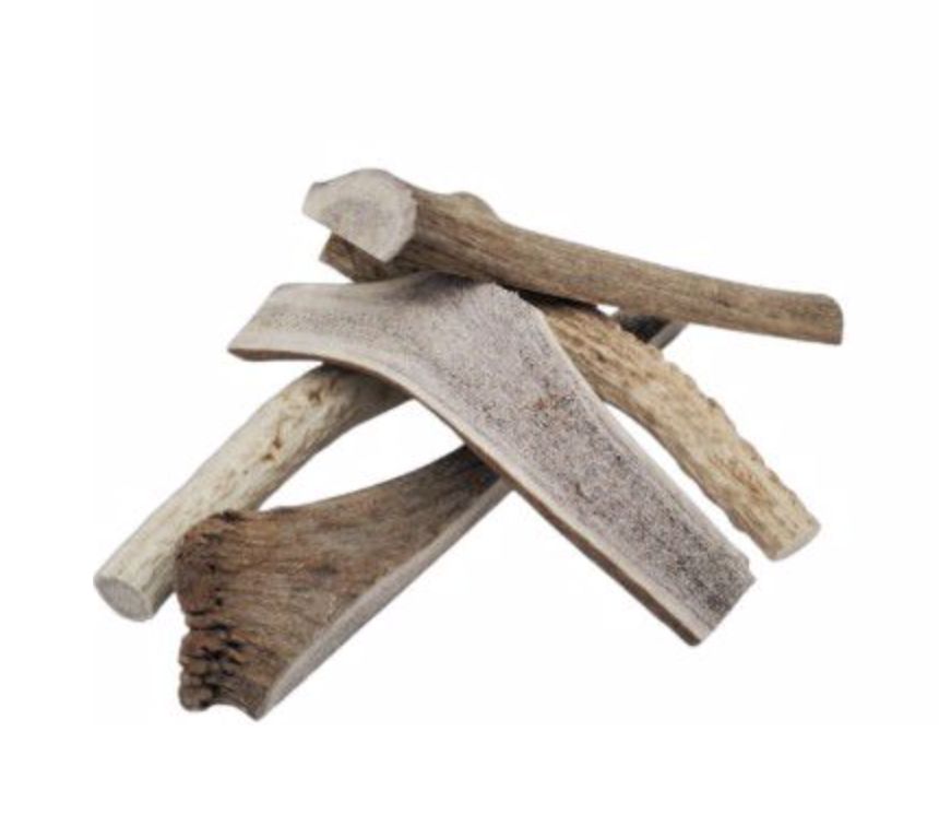 Nature's Own Elk Antler Slice for Dogs -Monster Each