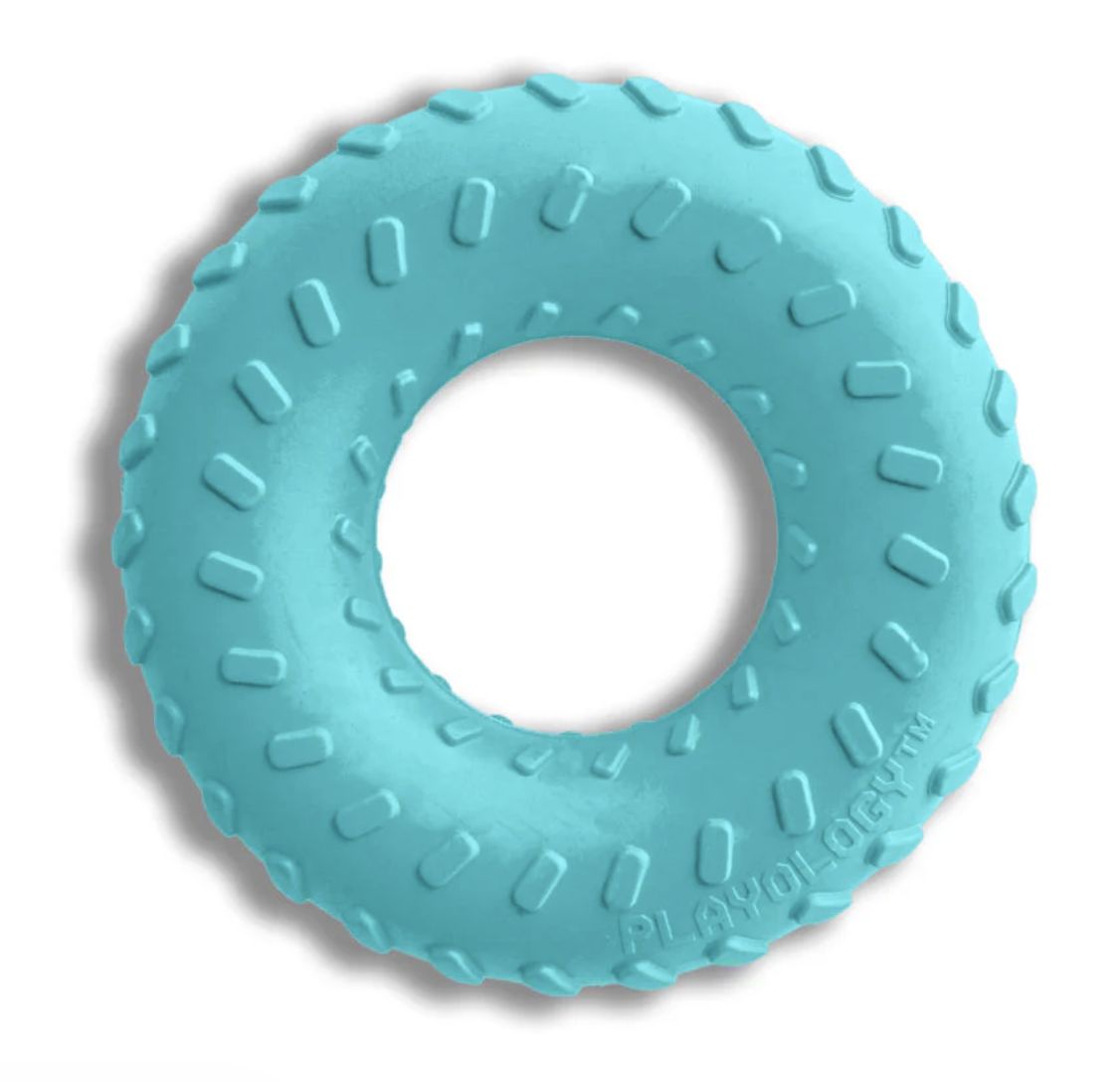 Playology Dual Layer Peanut Butter Flavored Ring Dog Toy - Blue Large