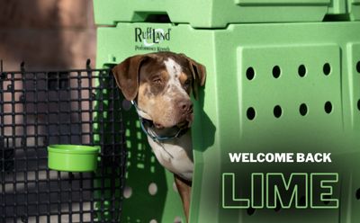 Ruffland Performance Kennels Pre Order Special Edition Lime Green