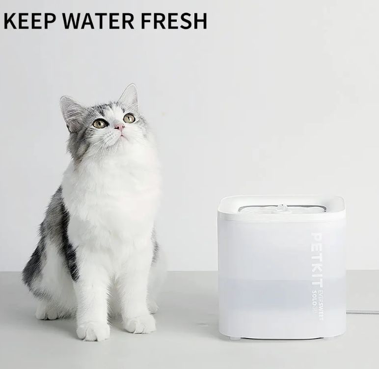 Eversweet Solo SE Cat Fountain
