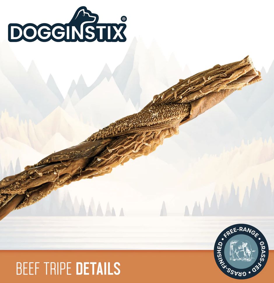 Dogginstix Braided Beef Tripe Dog Treat 12"