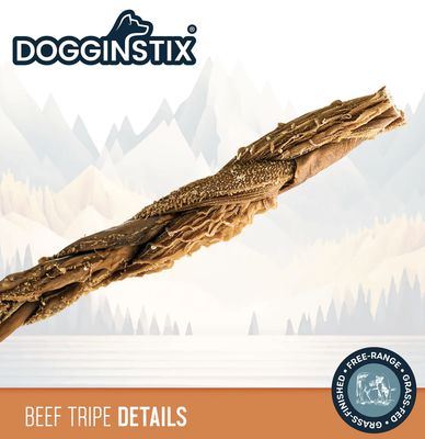 Dogginstix Braided Beef Tripe Dog Treat 12"