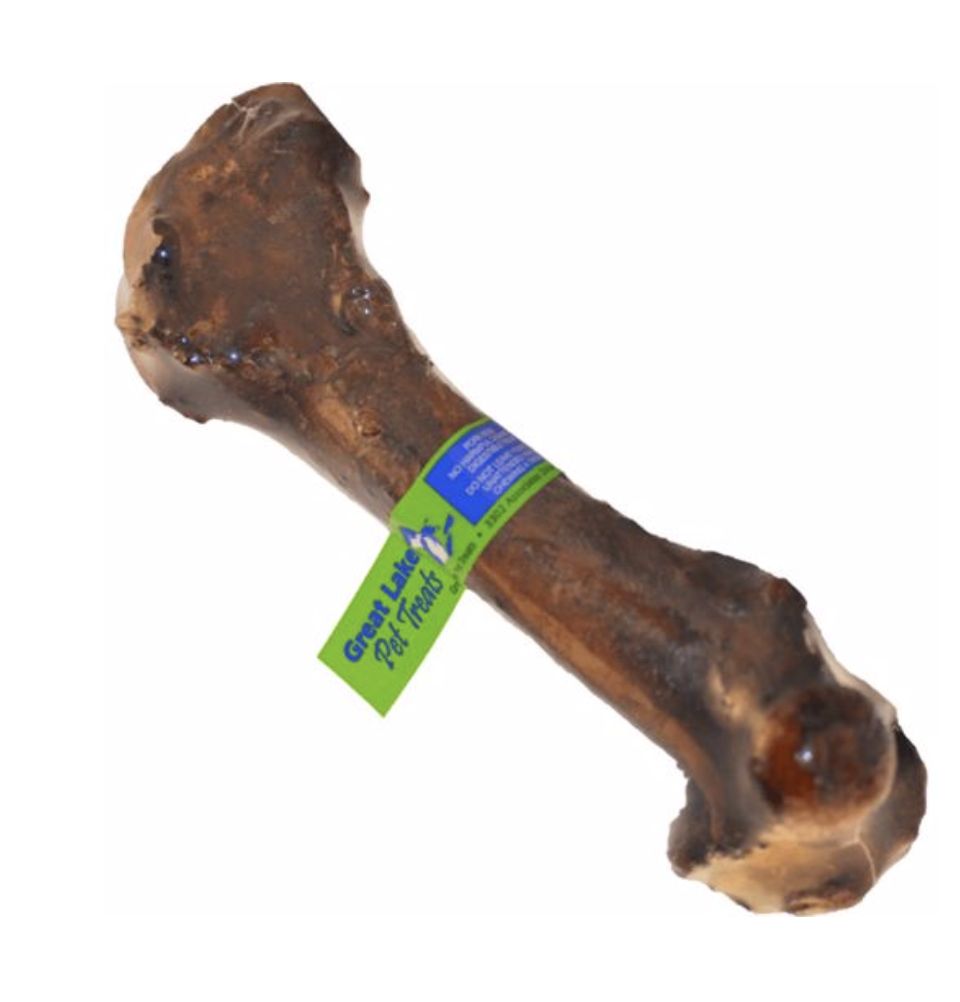 Great Lakes Meaty Pork Femur Bone 6-7"