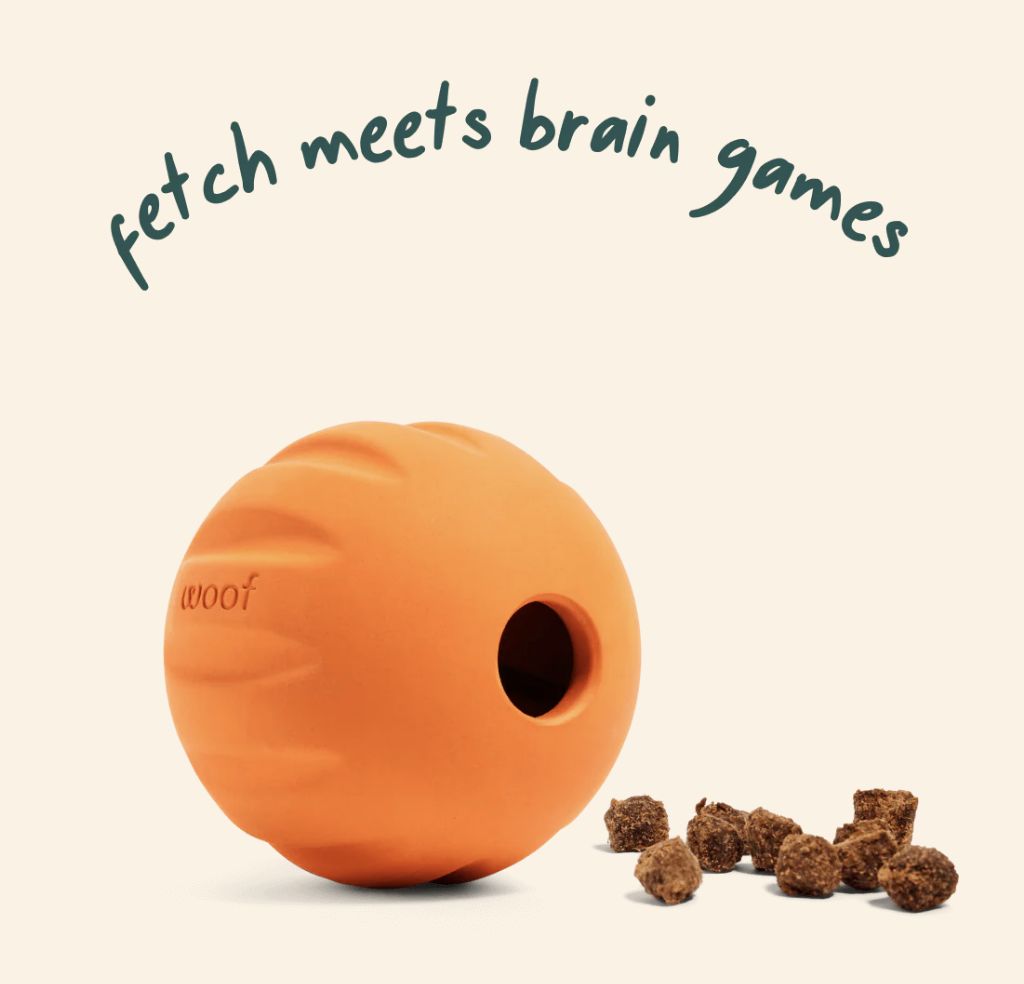 Woof Orange Flyball 2-in-1 Fetch Treat Toy