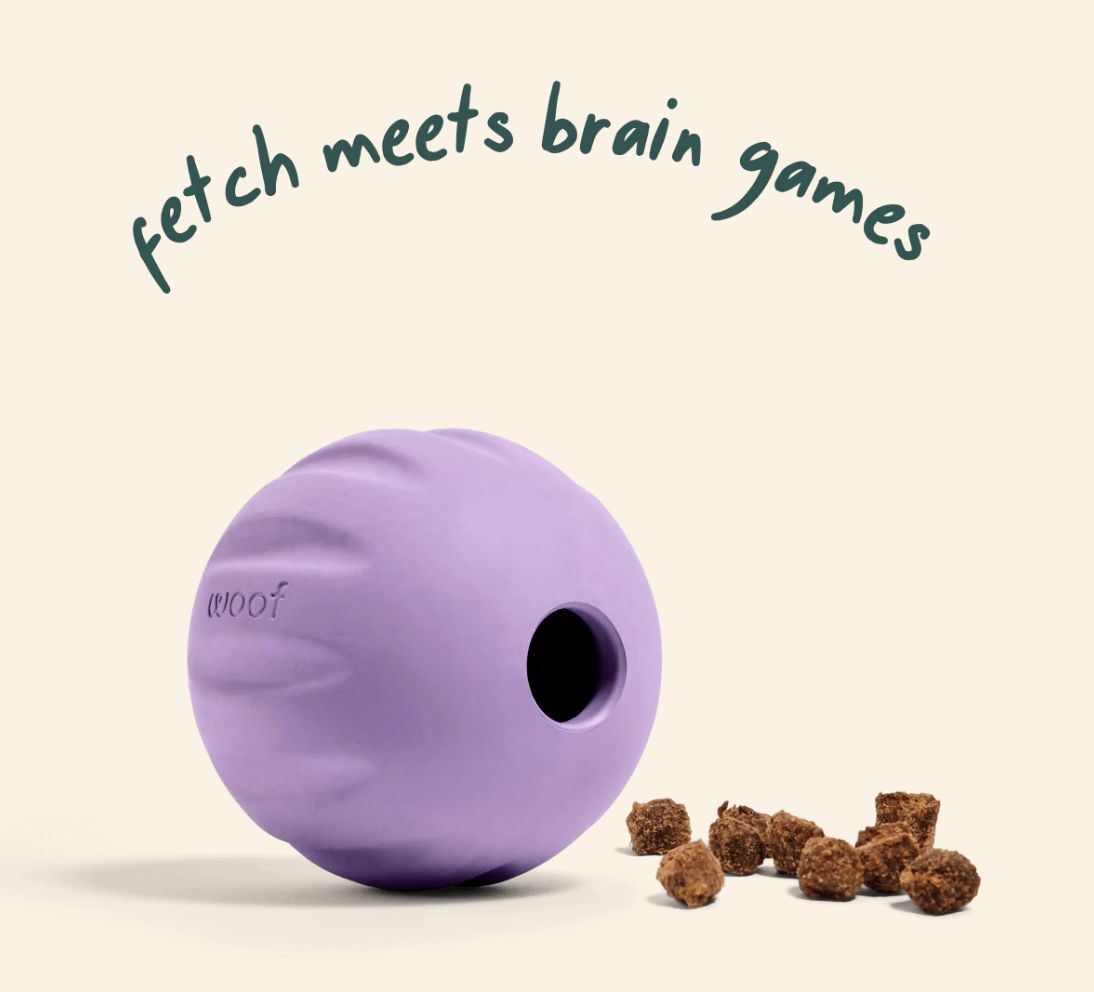 Woof Lavender Flyball 2-in-1 Fetch Treat Toy