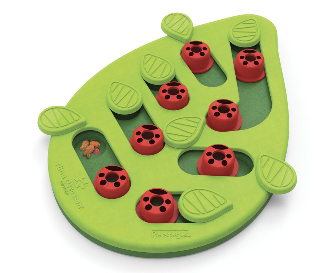 Outward Hound Catstages Puzzle &amp; Play Buggin Out Green