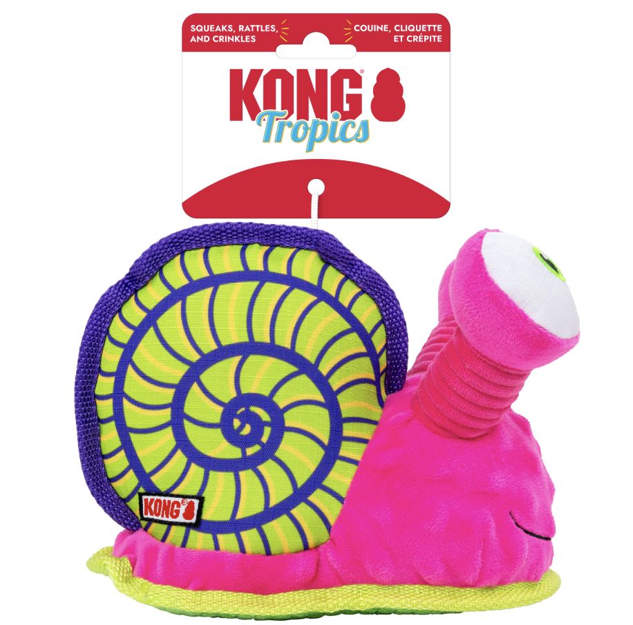 KONG Snail Tropics Rattlez Squeaker Dog Toy - M/LG