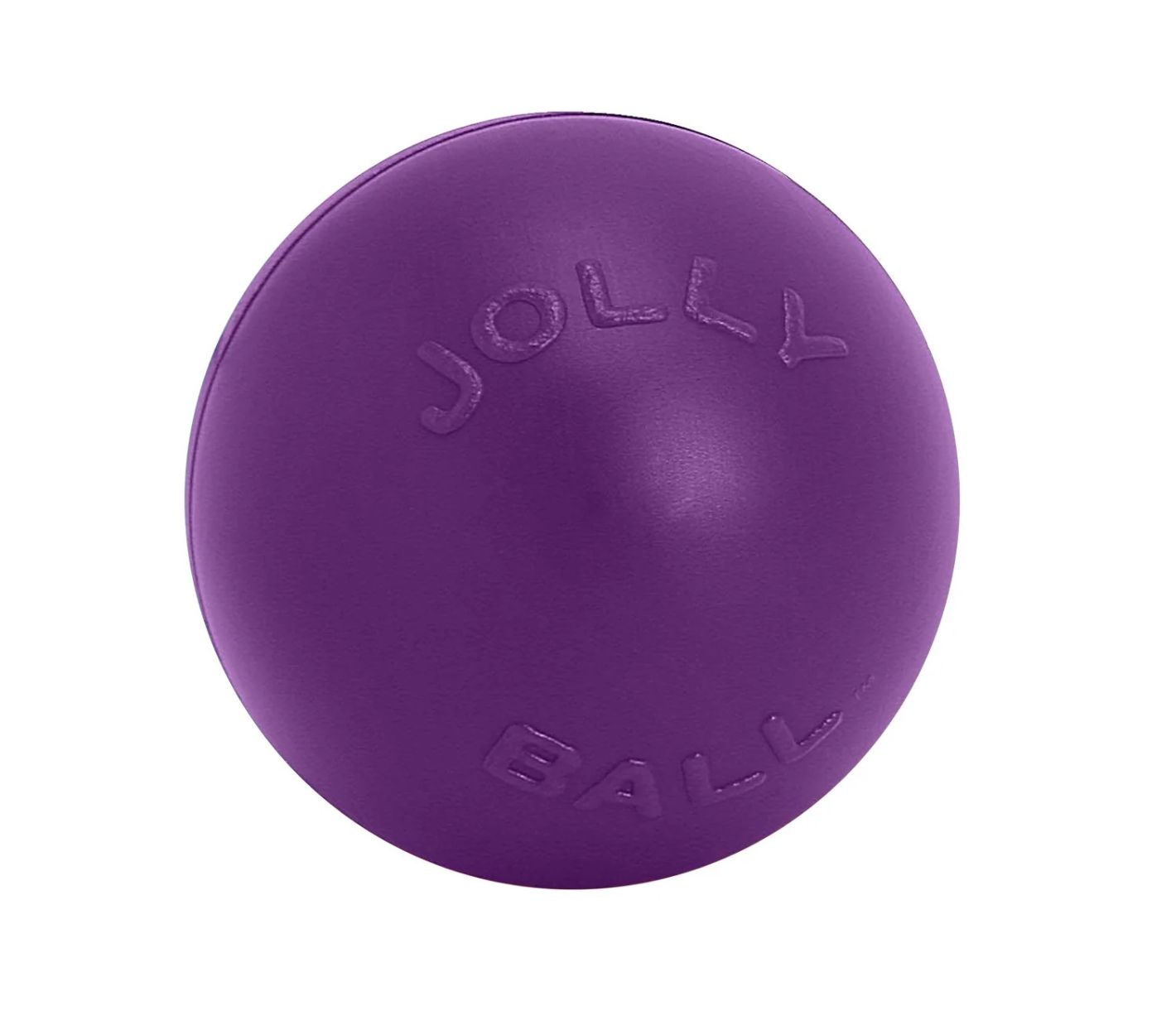 Jolly Pet Push-n-Play Dog Toy - L