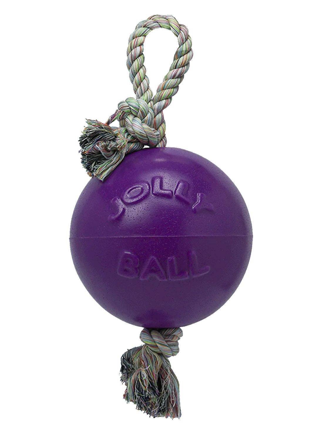 Jolly Pet Romp-n-Roll Purple Dog Toy - L