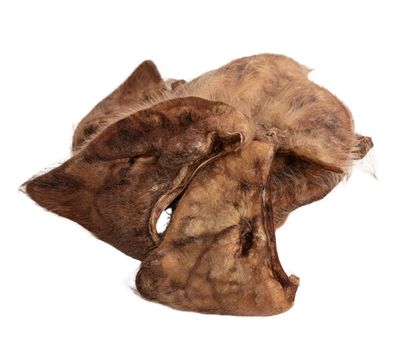 Hairy Pig Ear Dog Chew