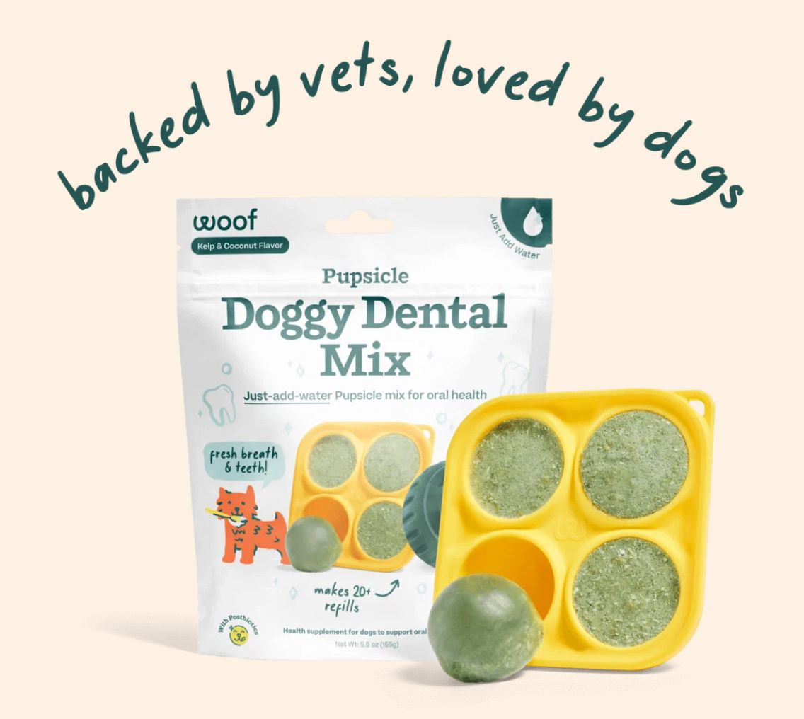 Woof Pupsicle Doggy Dental Treat Mix 5.5oz