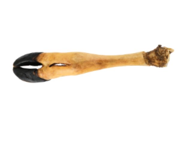 Dogginstix Beef Feet Dog Treat